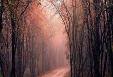 威根竞技主场告捷，赢球慰问球迷