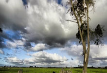 赫塔菲后卫频犯错误，球队遭遇球门失守