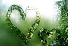 拜仁横扫波尔图，轻松晋级欧冠淘汰赛